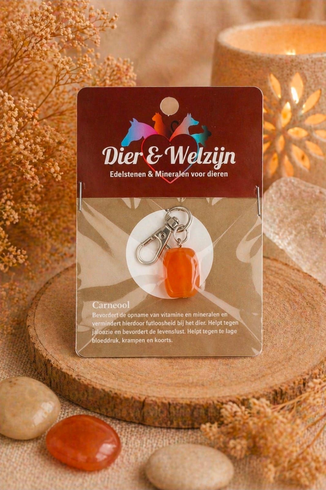 Carnelian Necklace Pendant