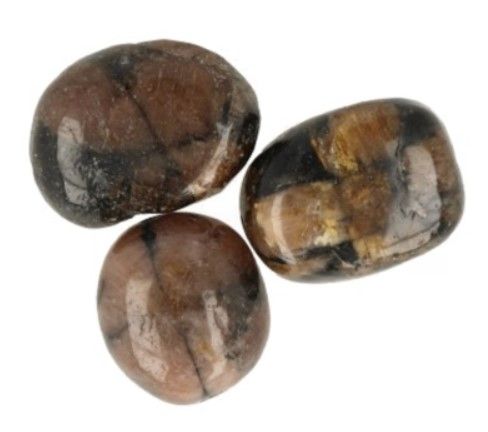 Drie gepolijste, donkerbruine stenen met kruisvormige patronen op een houten oppervlak.