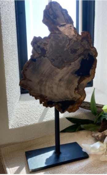 Plak versteend hout op een metalen standaard; kleuren lichtbruin, grijs en donkerbruin.