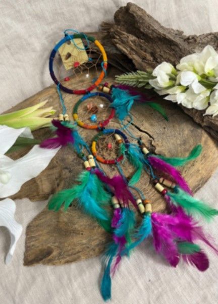 Regenboogdromenvanger met blauwgroene en paarse veren.