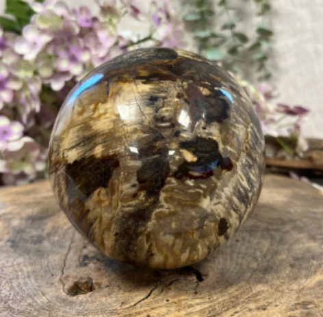 Gepolijste bol van versteend hout, met wervelende bruine, bruine en zwarte patronen.