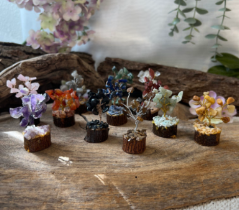 Edelsteen Boompje Giftbox - 12 stuks van 6 cm