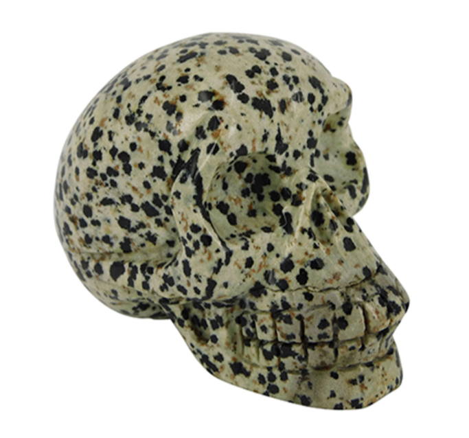 Schedel Jaspis Dalmatier