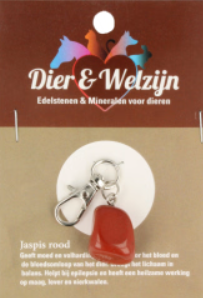 Jaspis Rood Halsbandhanger