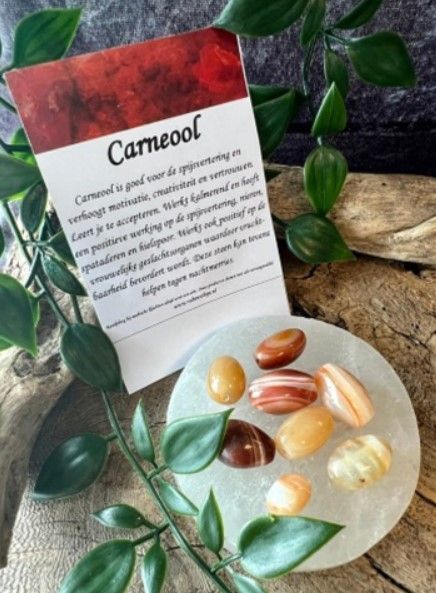 Trommelstenen in tinten bruin en crème, met gestreepte en gelaagde patronen, verspreid over een wit oppervlak.