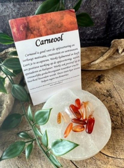 Ovale, rode en crèmekleurige stenen, geboord om te kunnen rijgen, verspreid op een witte achtergrond.