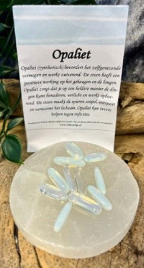 Witte, langwerpige, iriserende kralen verspreid op een witte achtergrond.