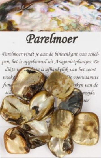 Stapel iriserende, beige en bruine schelpkralen met gaten.