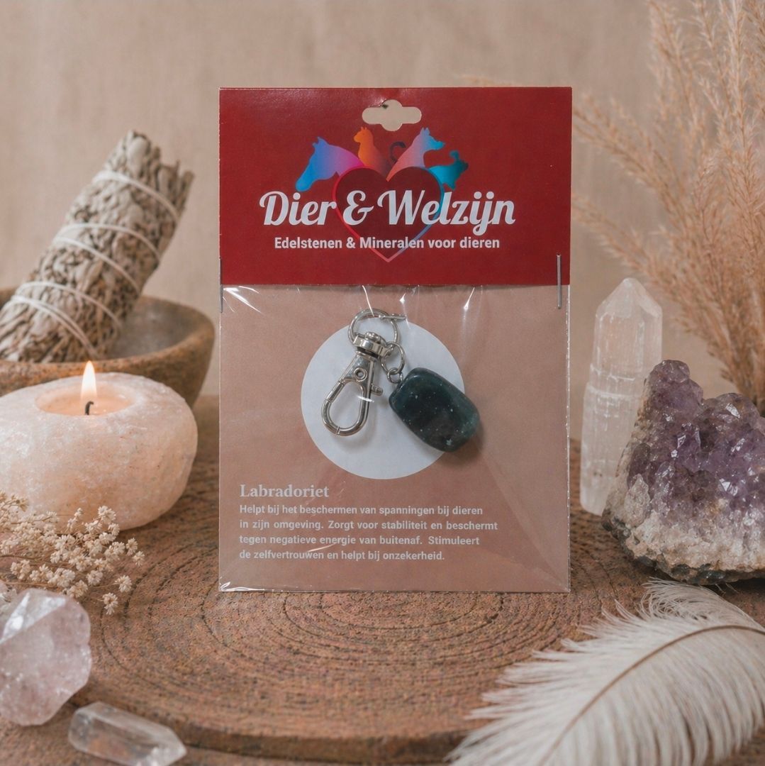 Labradorite Necklace Hanger