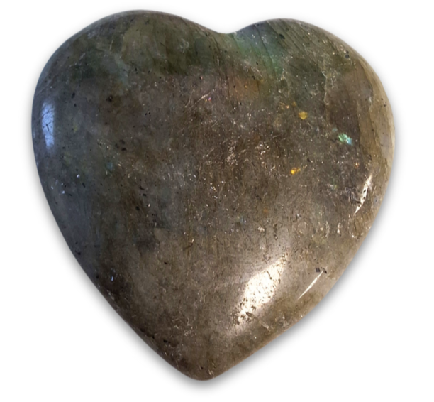 Hart Labradoriet - 3 cm