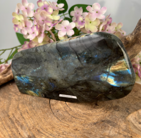 Labradoriet sculptuur (nr. 44)