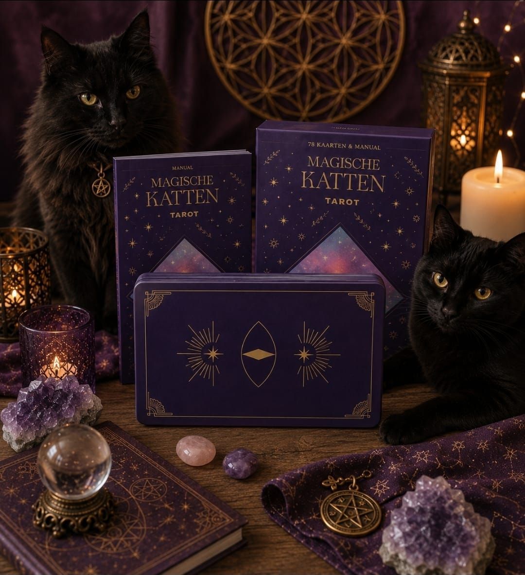 Magical Cats - Tarot Cards