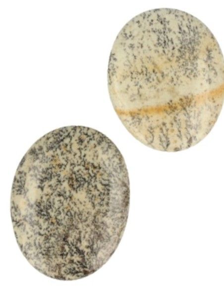 Drie gladde, ovaalvormige dendritische jaspisstenen in grijs- en bruintinten op een houten oppervlak.
