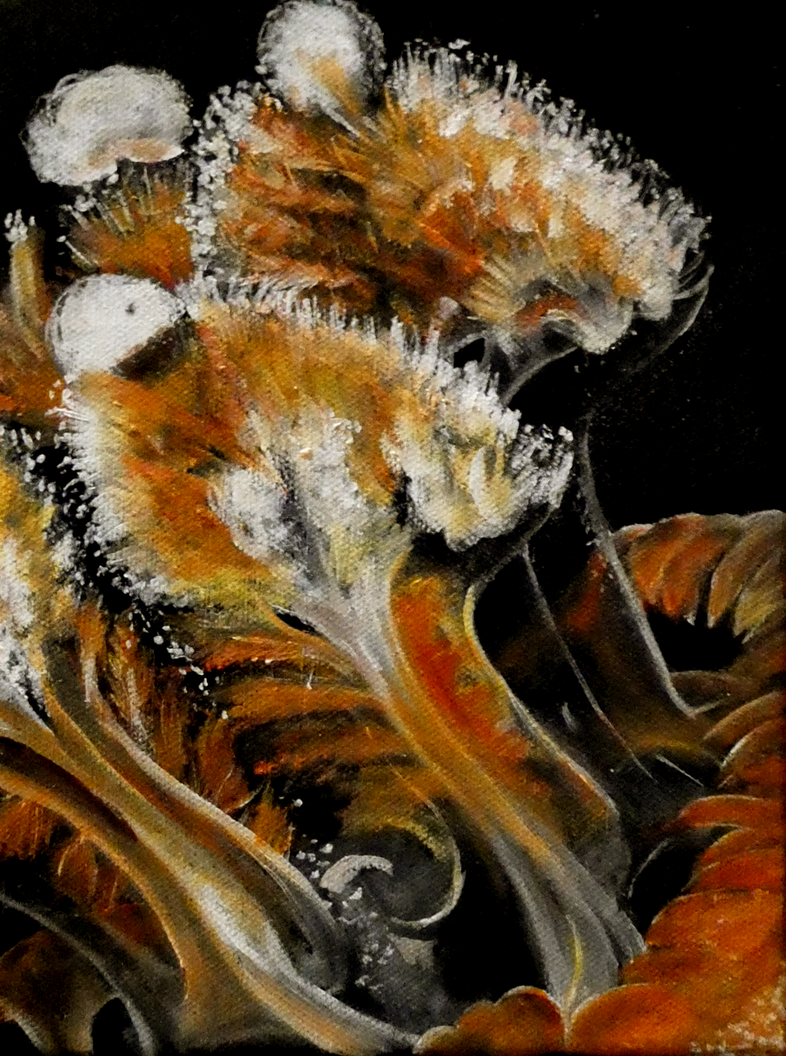 Schilderij  - Wit Gestippelde of Oranje Kwal / Carine's Creaties