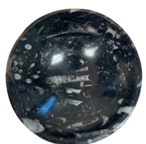 Zwart-witte fossiele stenen kom, met witte bloem en schors op de achtergrond.