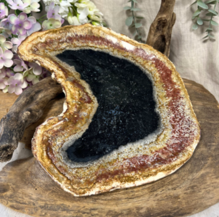 Dwarsdoorsnede van een gepolijste agaatsteen, met een donker centrum omgeven door concentrische banden in rood, beige en wit.