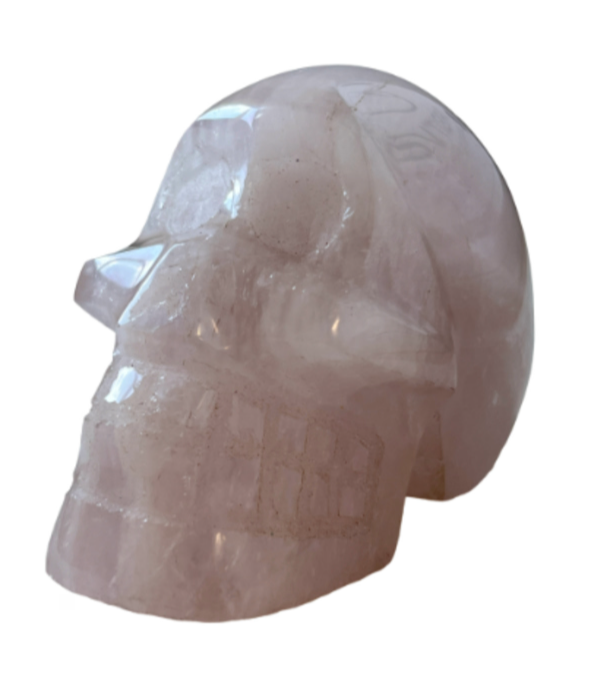 Schedel Rozekwarts (nr.5)