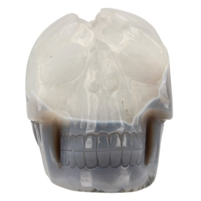 Schedel Agaat (nr.3)