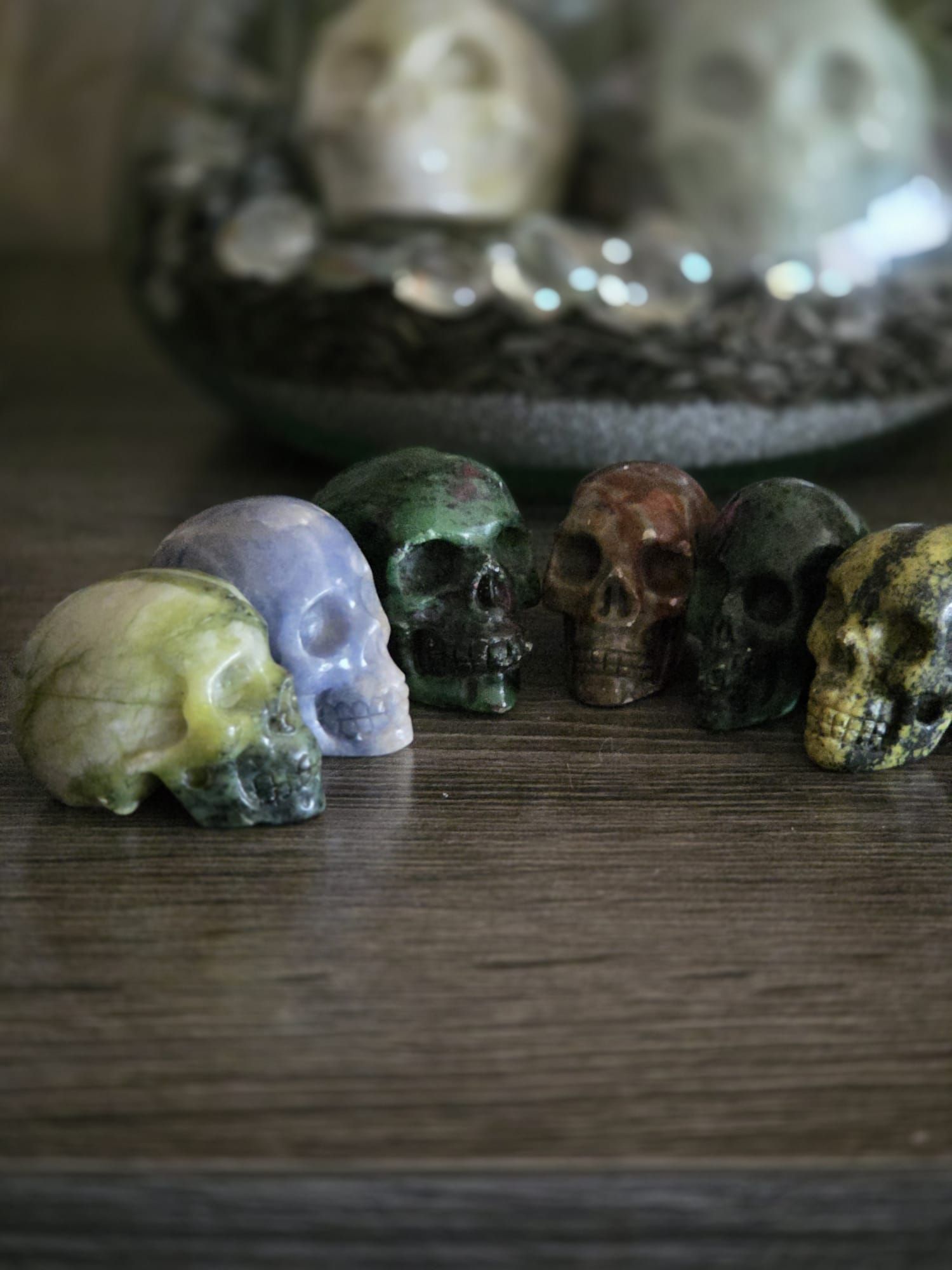 Schedels - Diversen / Silvia's Edelstenen