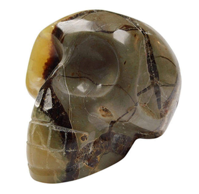 Schedel Septarie - 12 cm