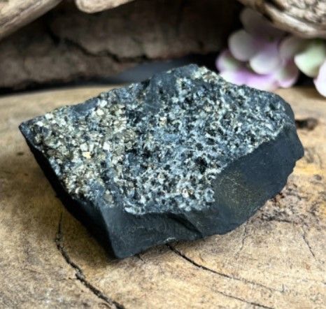 Donker gesteente met daarin goudkleurige, kubusvormige pyrietkristallen.