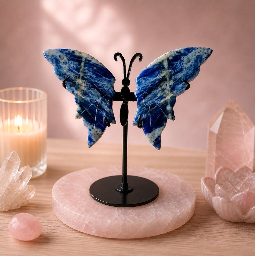 Sodalite Butterfly on Stand - 12- 14 cm (MG)