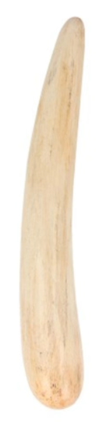 Een glanzend, gebogen, zilveren voorwerp met een donkere verticale streep.