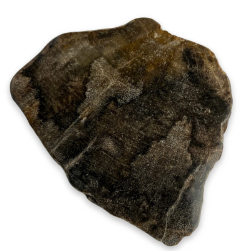 Plakken versteend hout op een houten oppervlak, met verschillende kleuren en texturen.