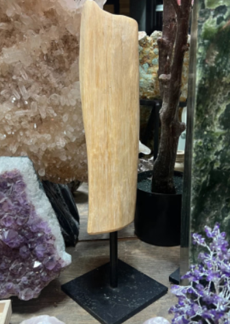 Een verweerd, beige houten beeld, gemonteerd op een zwarte vierkante basis.