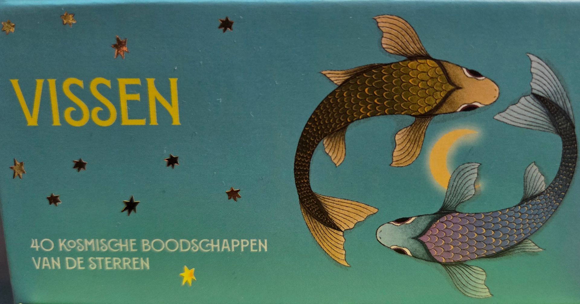 Astro Pocket - Vissen