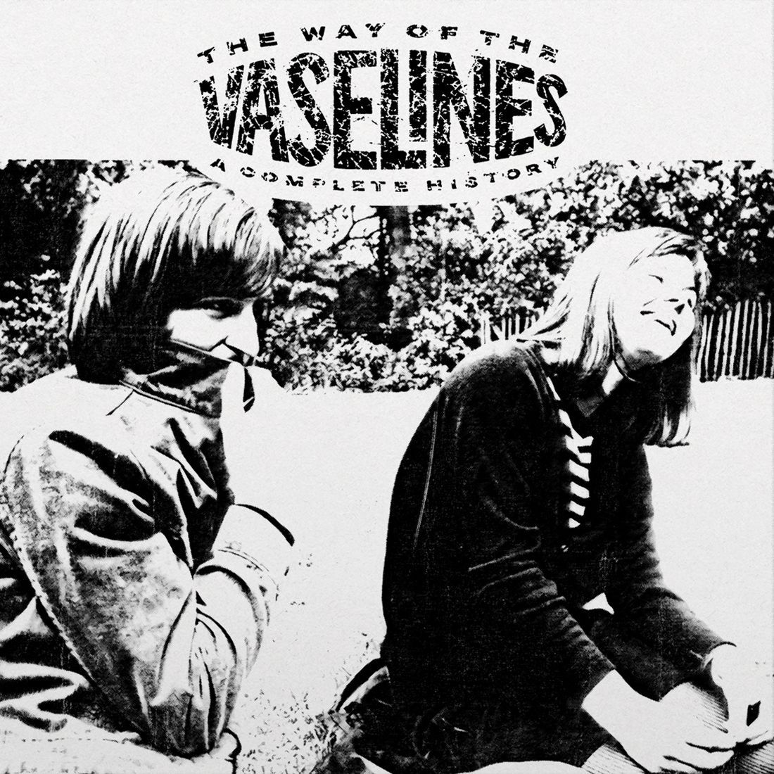 The Way Of The Vaselines (2023 reissue)