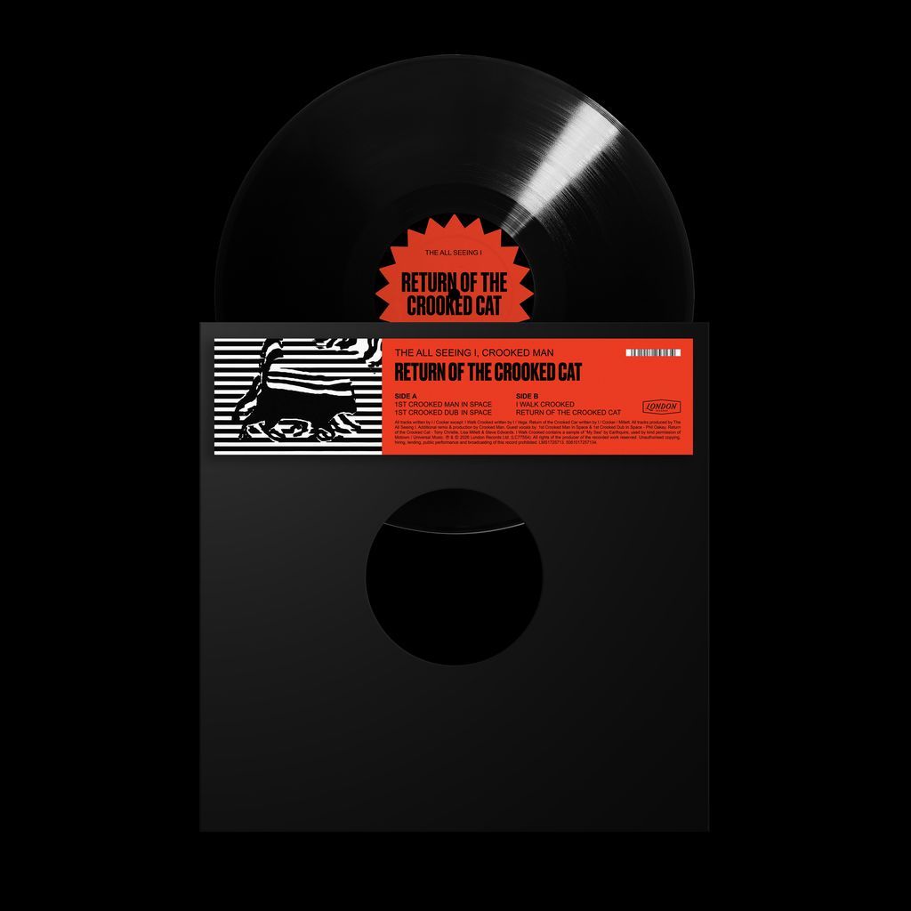 Return of the Crooked Cat