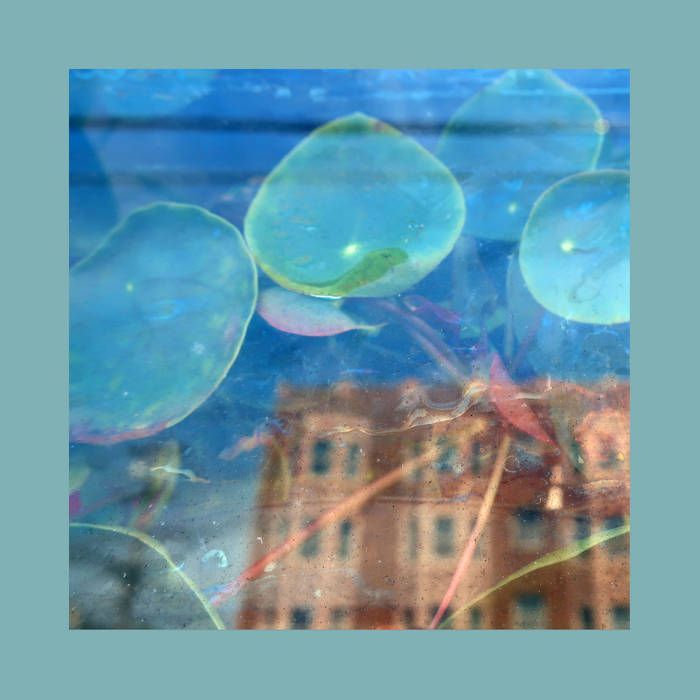 The Reds, Pinks And Purples