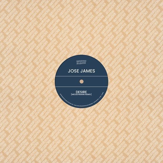 Brownswood Recordings Remix Edition 005