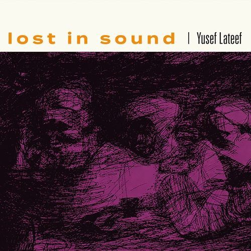 Lost In Sound