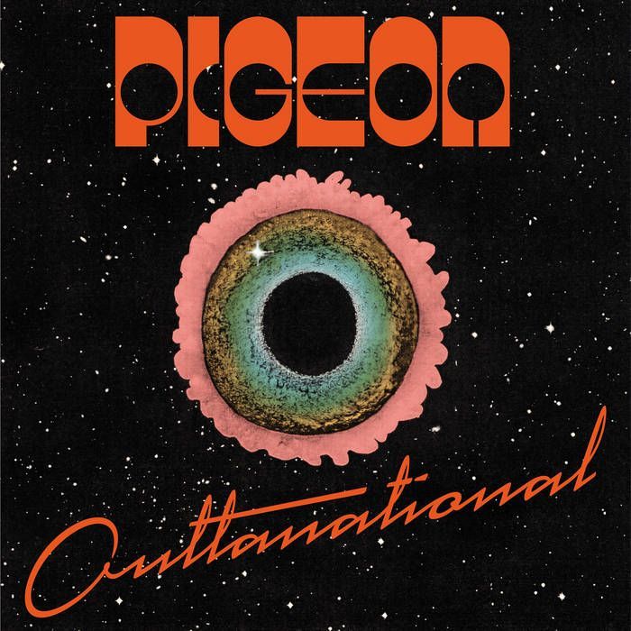 Pigeon