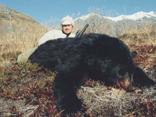 Alaska black bear hunting