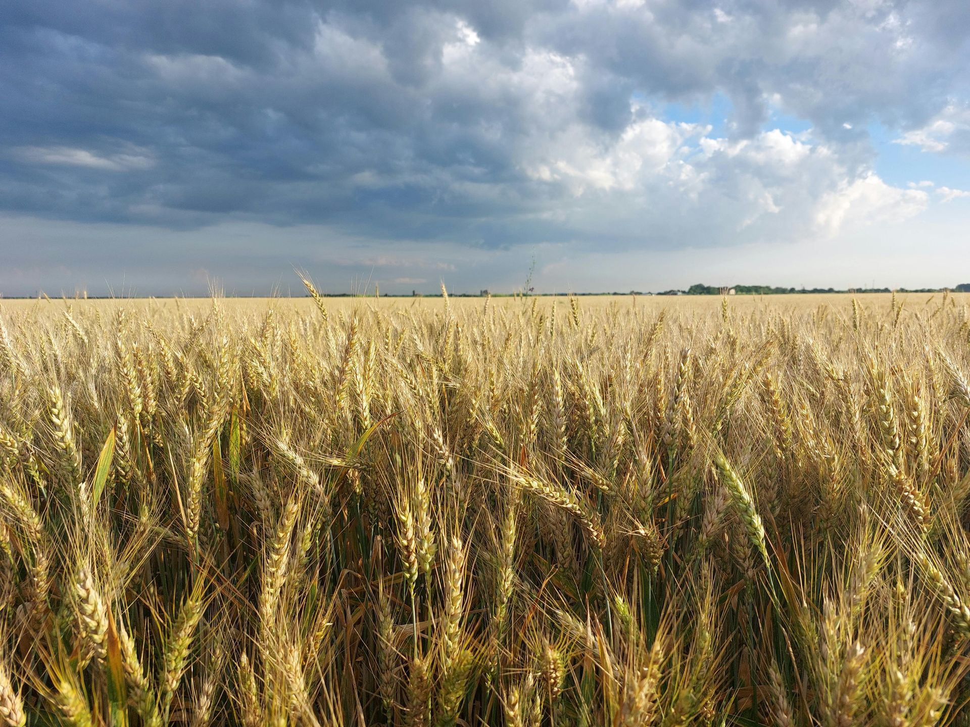 A church with a cross on the front of it