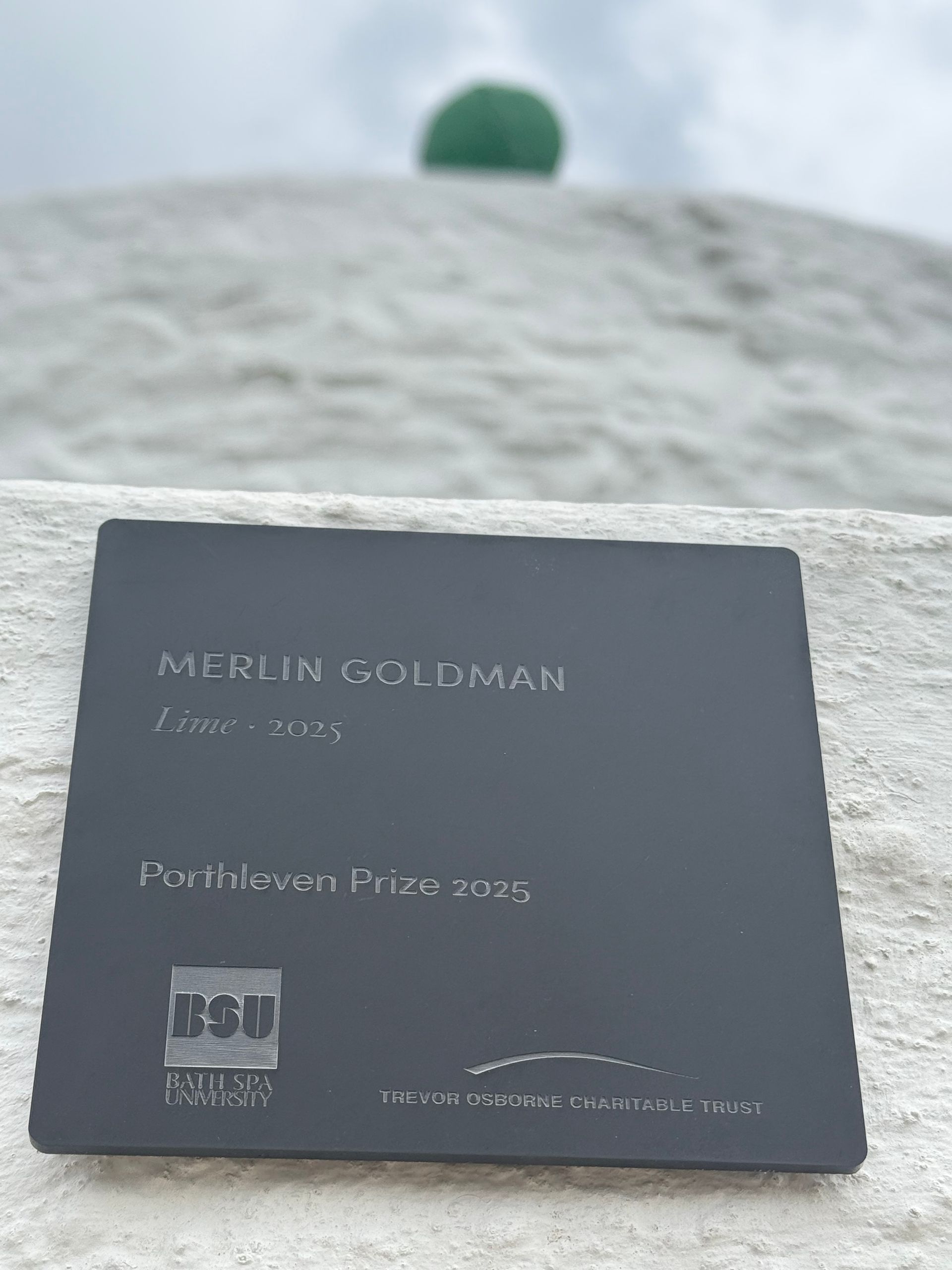 The lime plus plaque The lime plus plaque