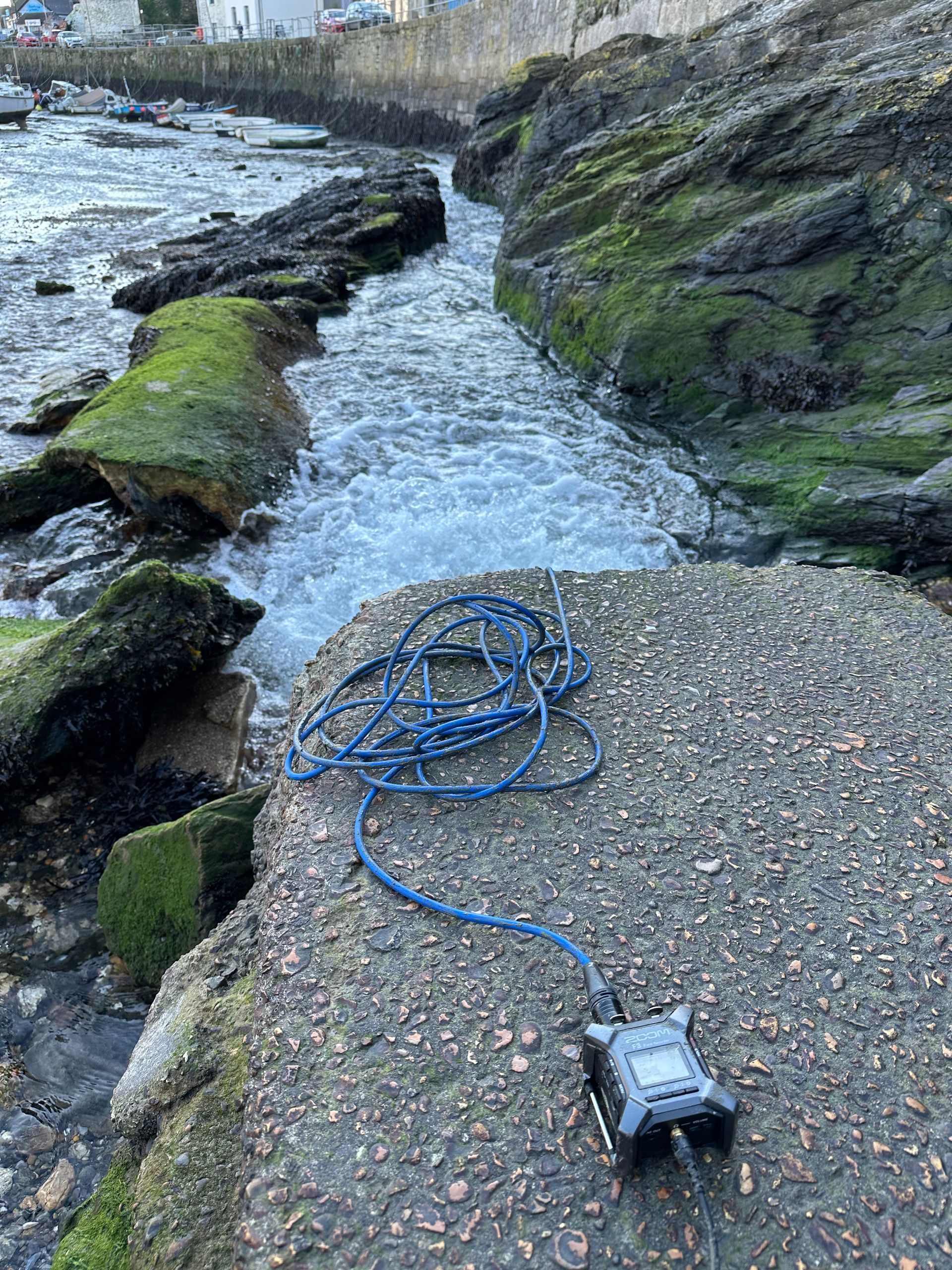 Zoom F3 plus hydrophone