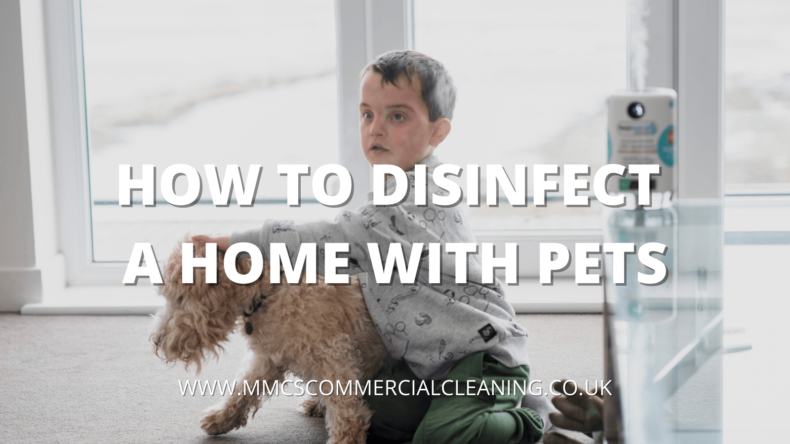 How to Disinfect a Home with Pets