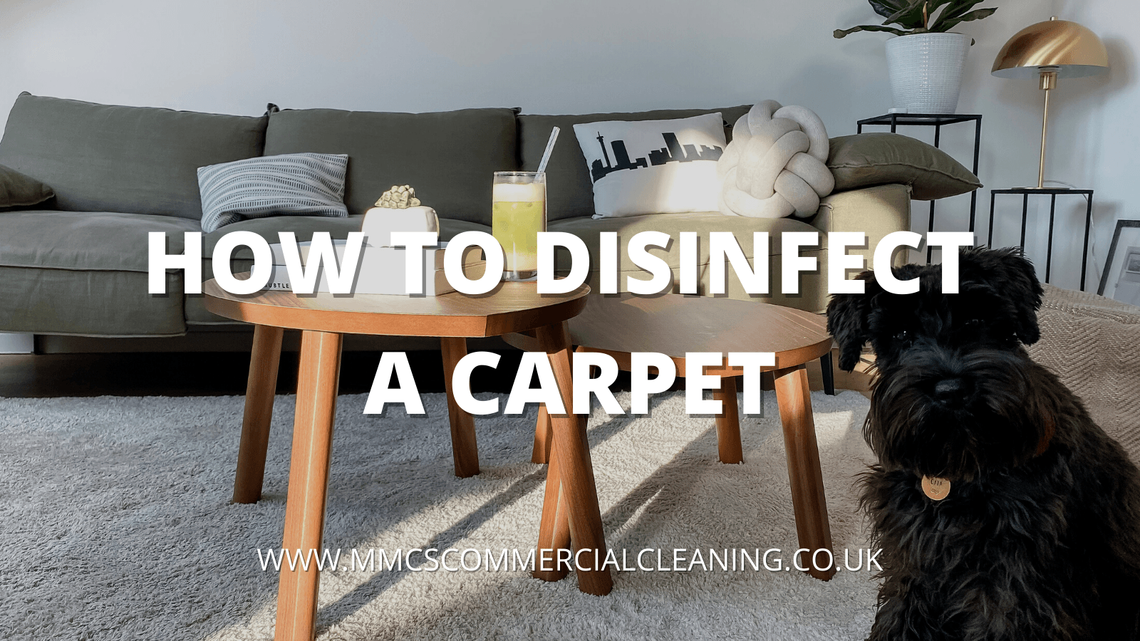 How to Disinfect a Carpet
