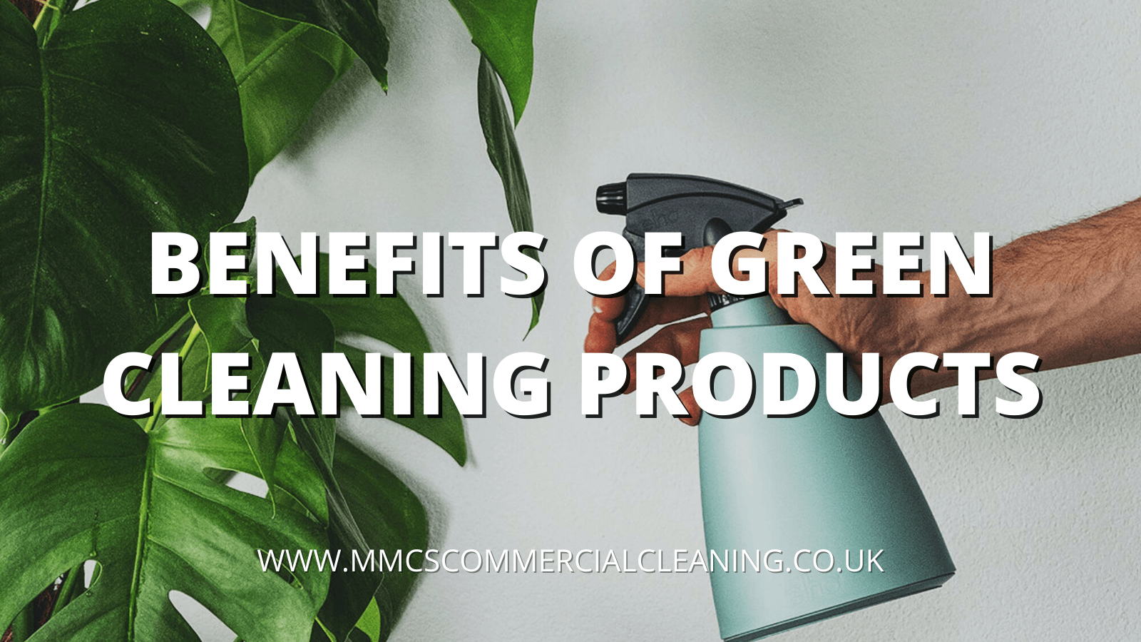 Benefits of Green Cleaning Products