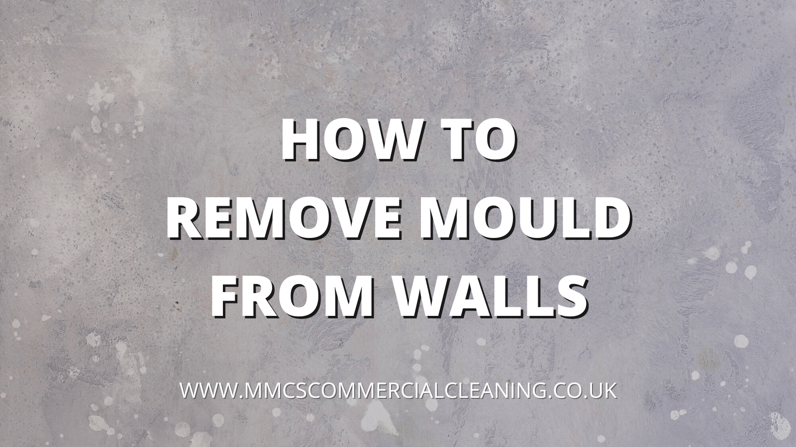 tips-for-cleaning-mold-off-walls-everdry-toledo