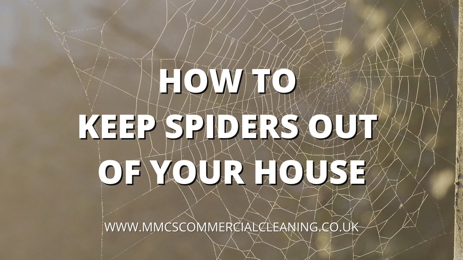 4-ways-to-keep-spiders-out-of-your-house-wikihow