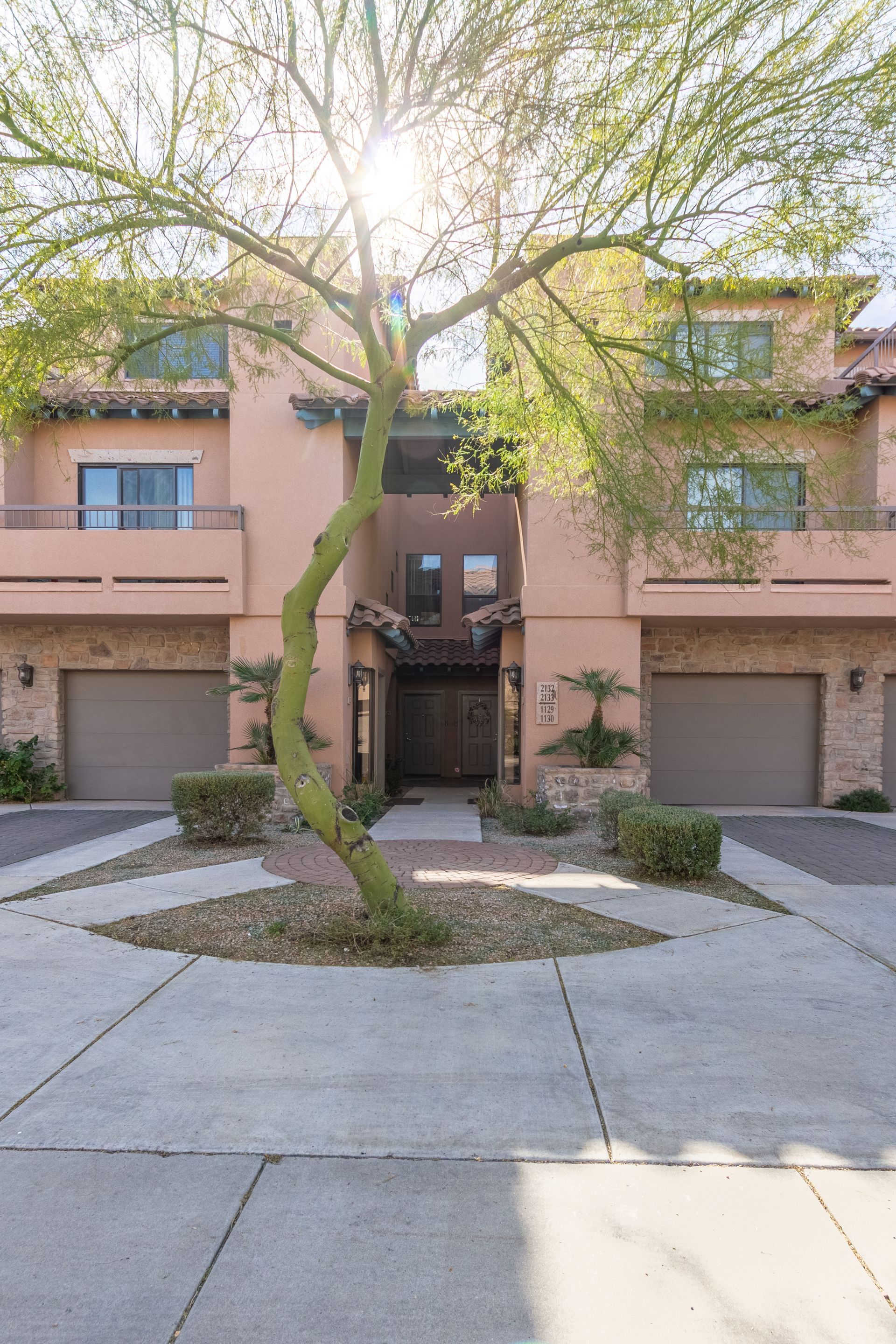 A tree is in the middle of a courtyard in front of a building.