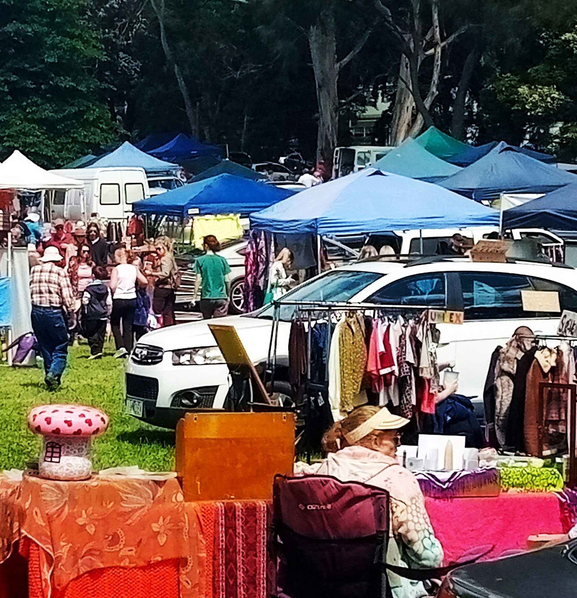 Healesville Market