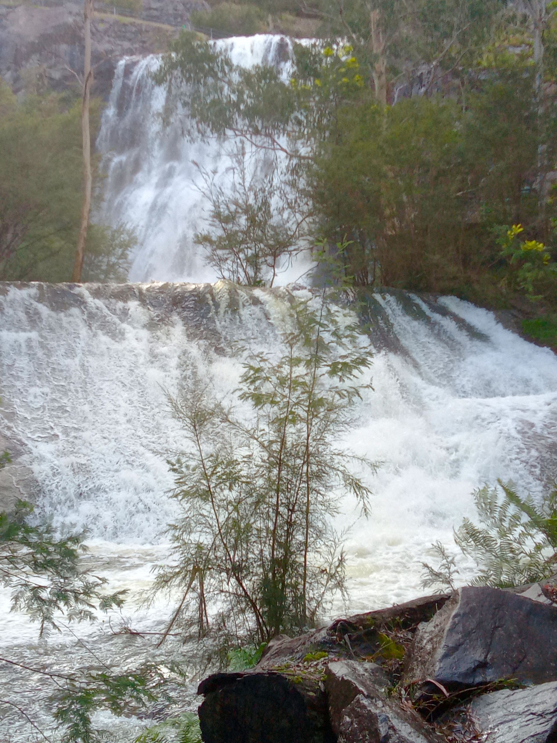 Ravells Waterfalls Healesville