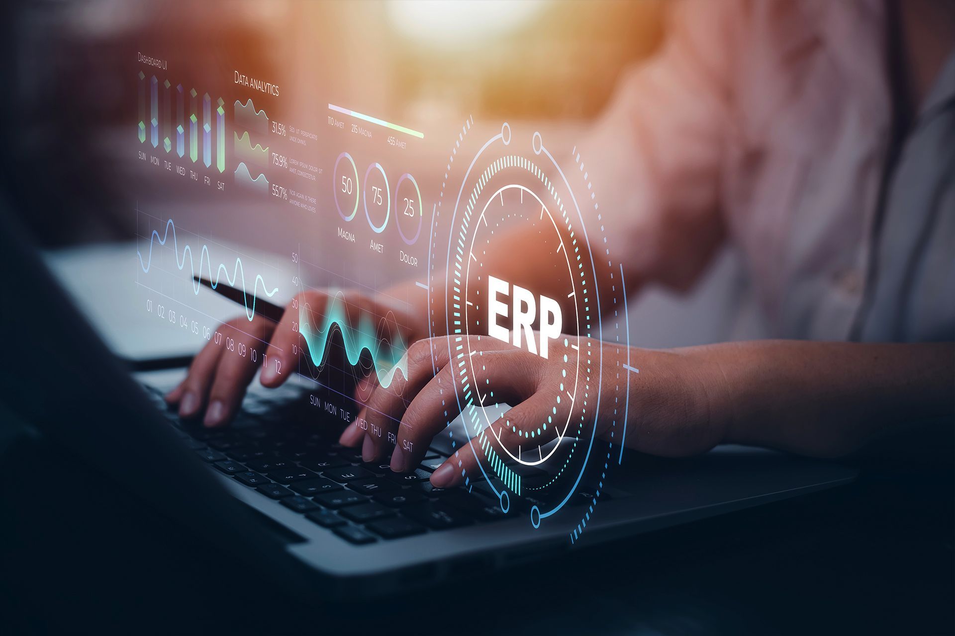 Image depicting the implementation of an ERP system integrating financial, HR, and project management modules for a consulting firm.