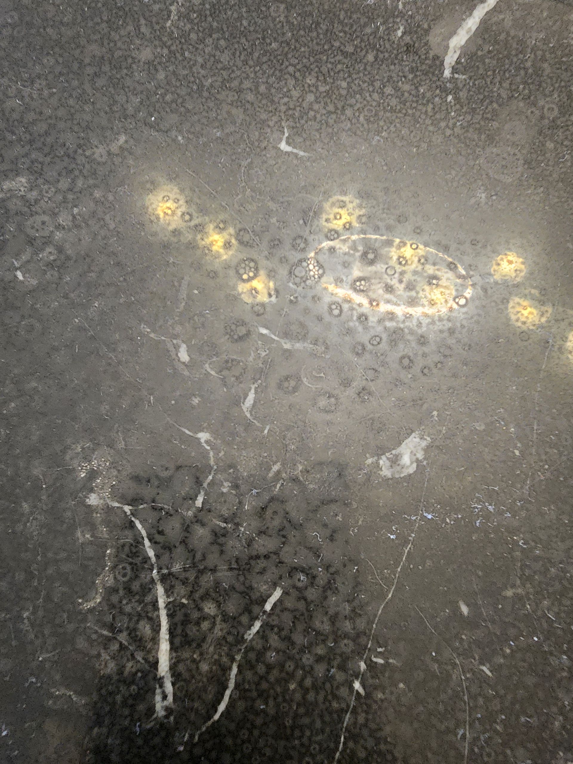 Dark stone surface with small yellow paw-print marks and faint white streaks.